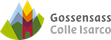 logo-gossensass-de